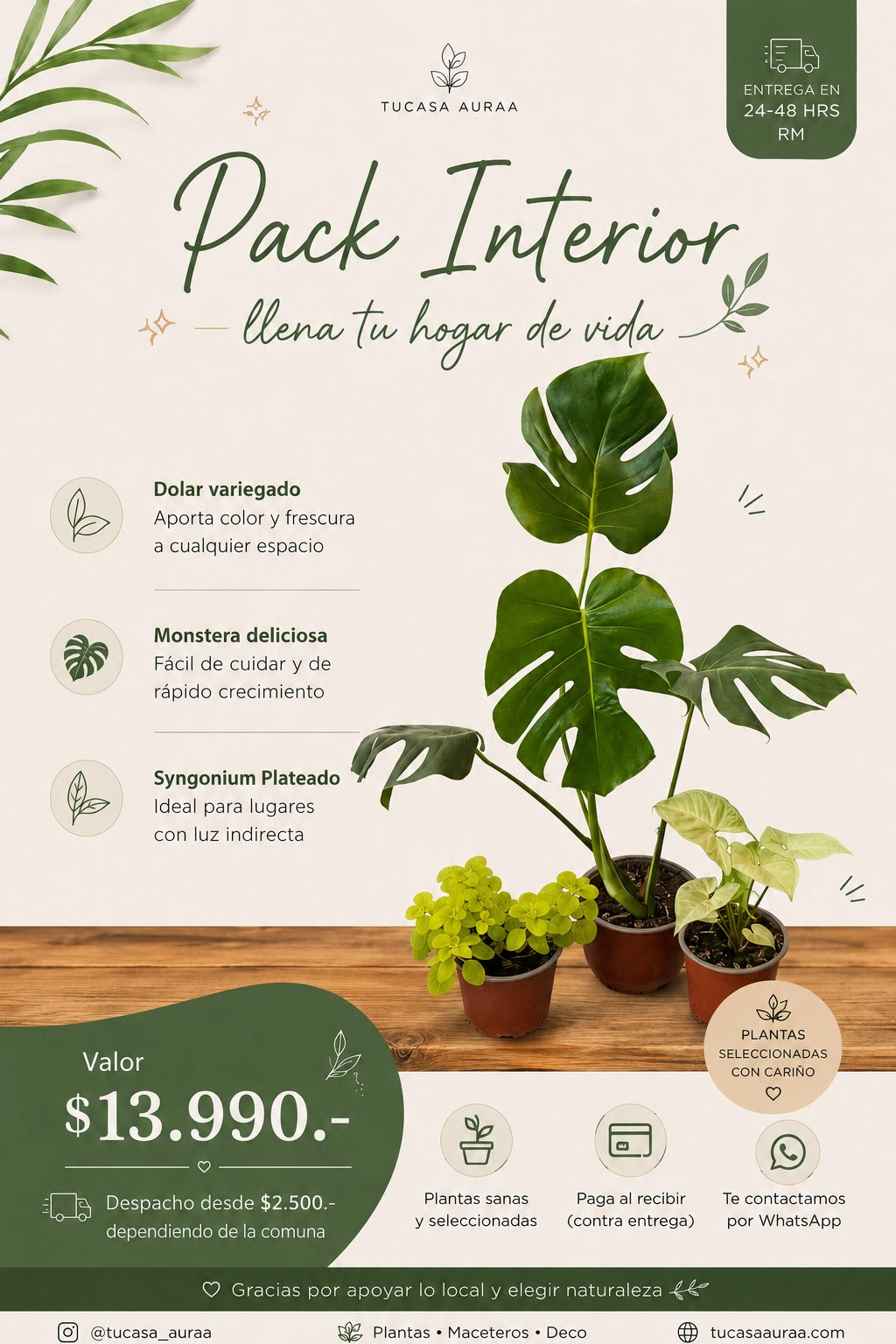 Pack 3 Interior